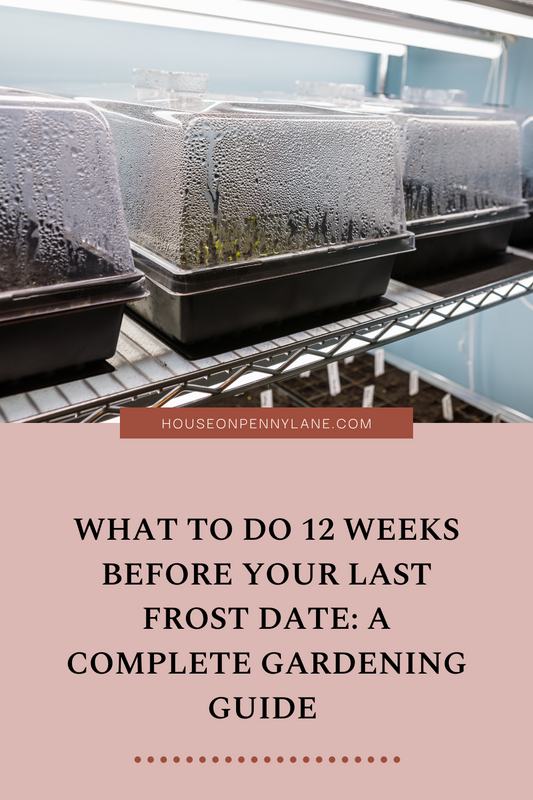 What to Do 12 Weeks Before Your Last Frost Date: A Complete Gardening Guide