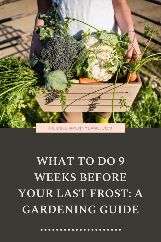 What to Do 9 Weeks Before Your Last Frost: A Gardening Guide