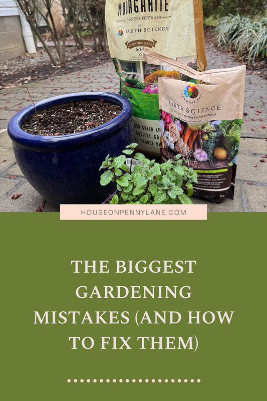 The Biggest Gardening Mistakes (And How to Fix Them)