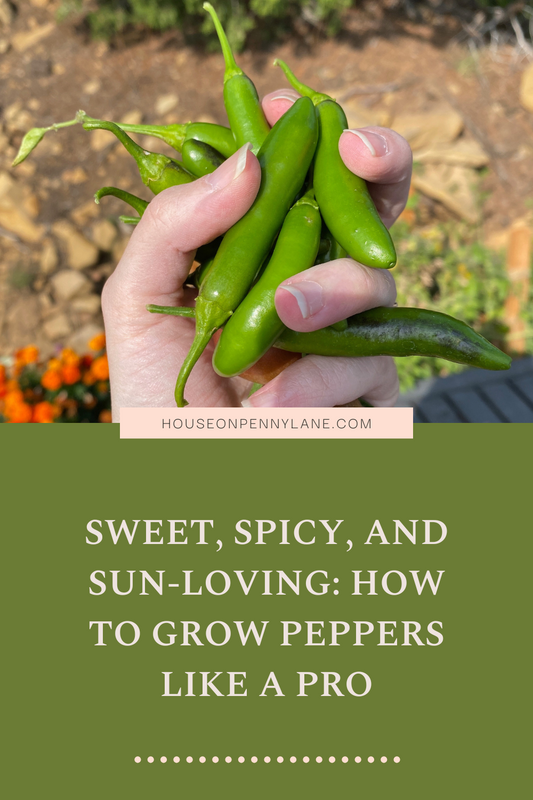 Sweet, Spicy, and Sun-Loving: How to Grow Peppers Like a Pro