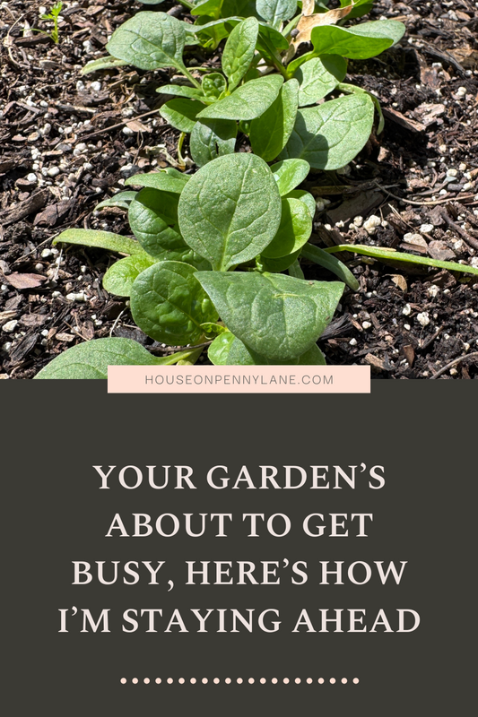 Your Garden is About to Get Busy: Here is How I am Staying Ahead