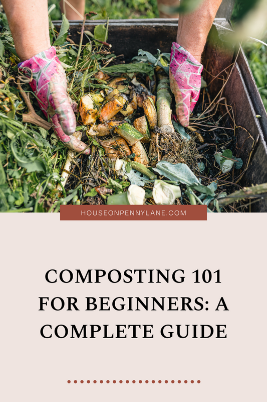 Composting 101 for Beginners: A Complete Guide