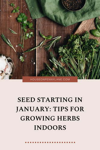 Seed Starting in January: Tips for Growing Herbs Indoors