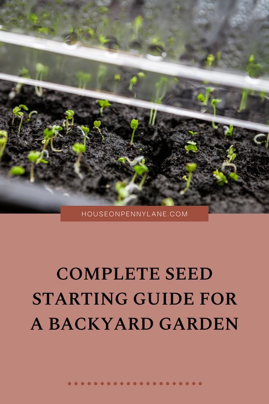 Complete Seed Starting Guide for a Backyard Garden