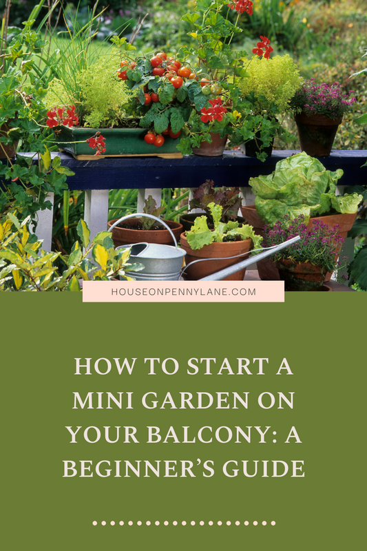 How to Start a Mini Garden on Your Balcony: A Beginner’s Guide