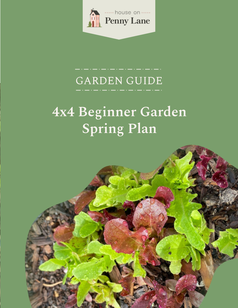 4x4 Beginner Garden Spring Plan