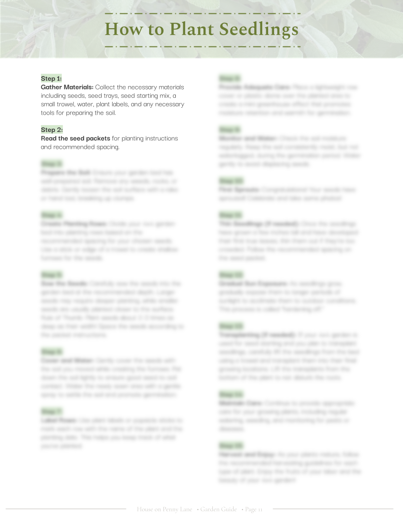 4x4 Beginner Garden Spring Plan