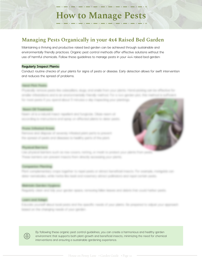 4x4 Beginner Garden Spring Plan