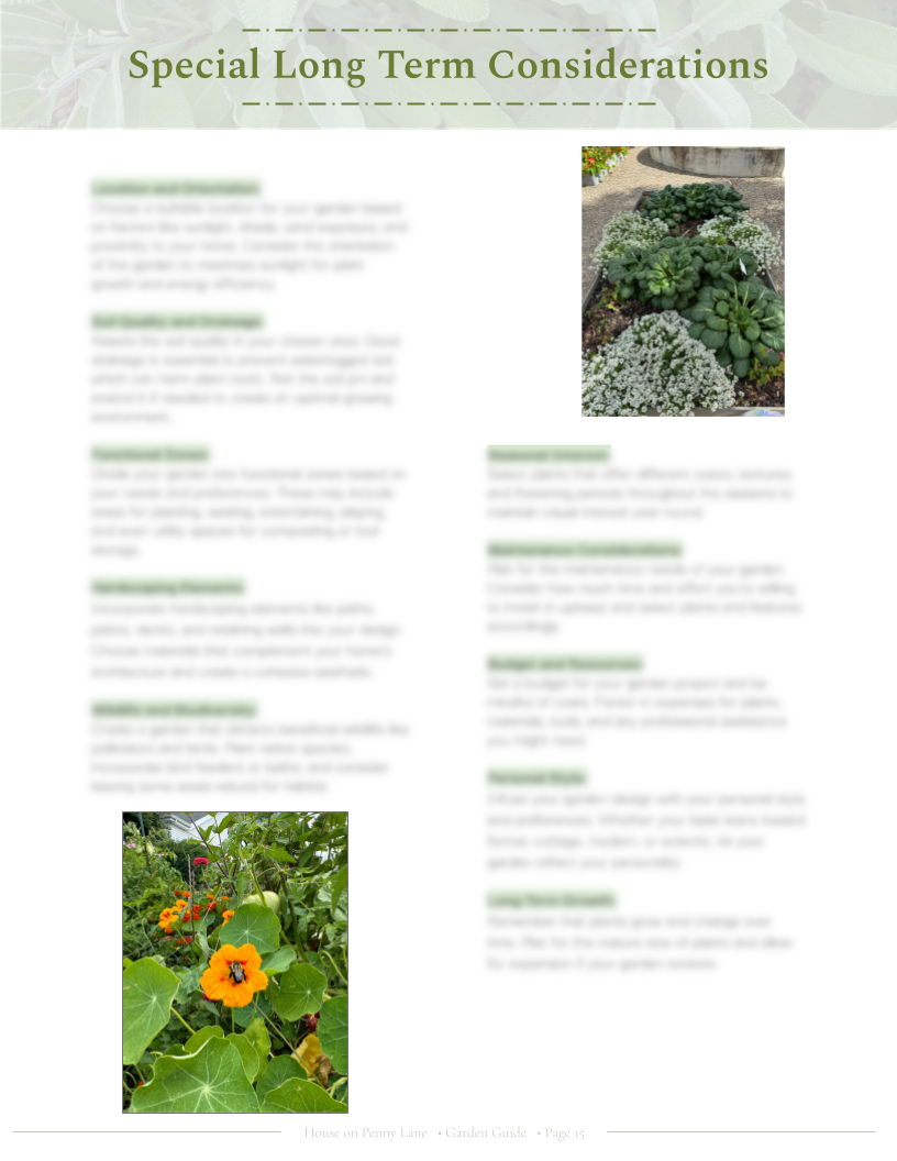4x4 Beginner Garden Spring Plan