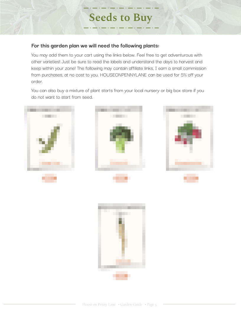4x4 Beginner Garden Spring Plan