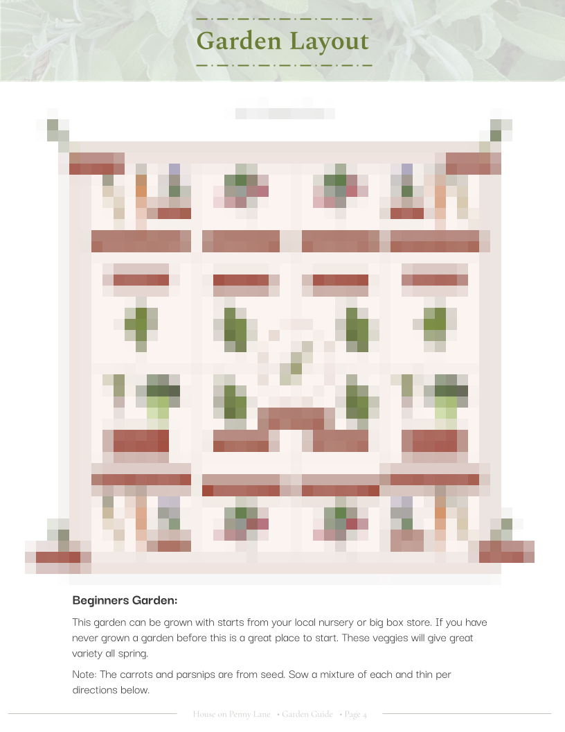 4x4 Beginner Garden Spring Plan