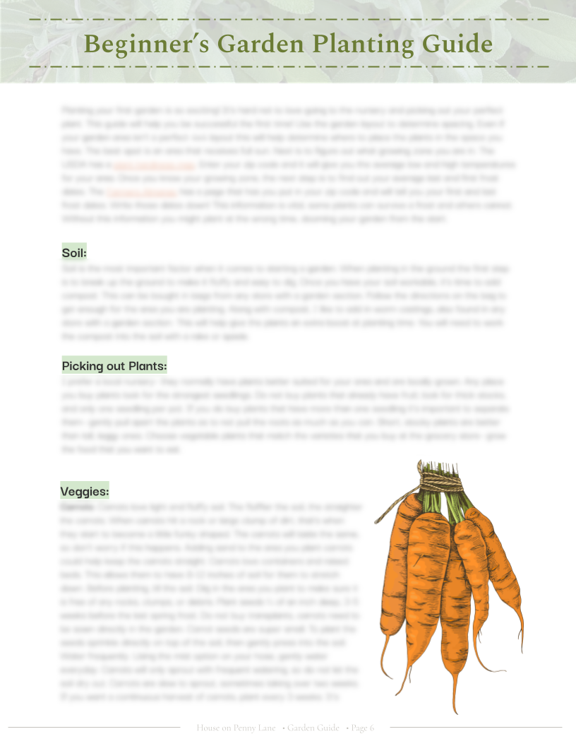 4x4 Beginner Garden Spring Plan