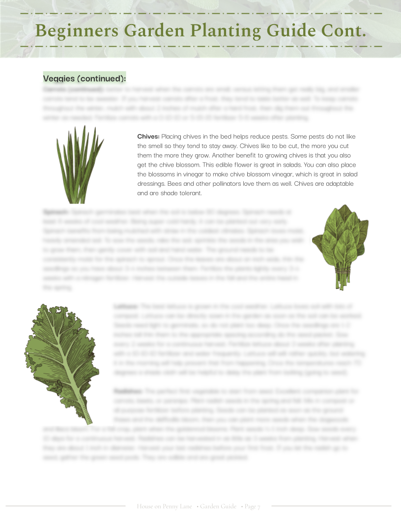 4x4 Beginner Garden Spring Plan