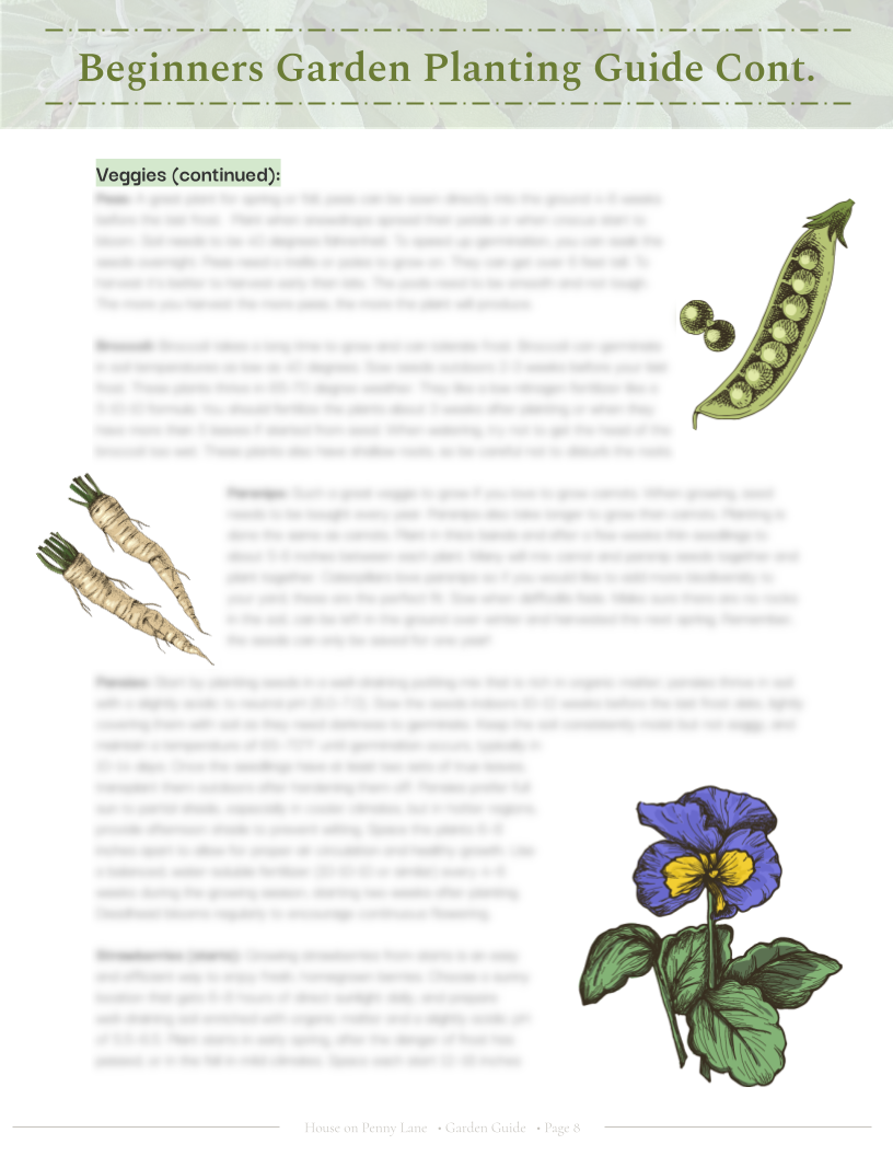 4x4 Beginner Garden Spring Plan