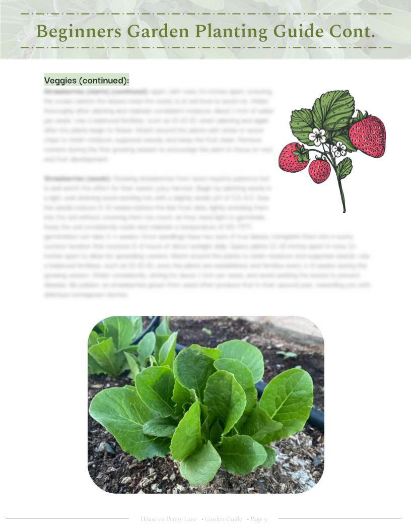 4x4 Beginner Garden Spring Plan