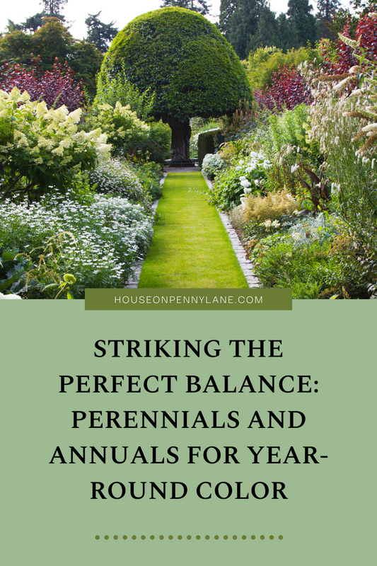 Striking the Perfect Balance: Perennials and Annuals for Year-Round Color