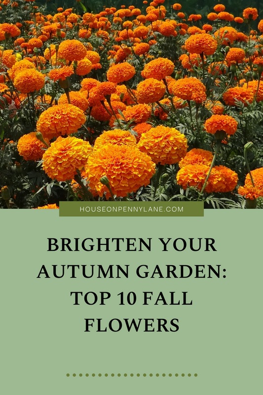 Brighten Your Autumn Garden: Top 10 Fall Flowers