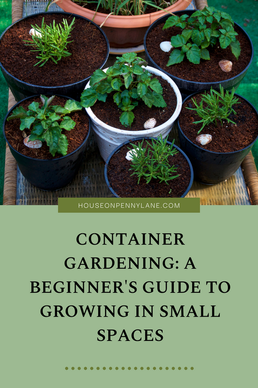 Container Gardening: A Beginner's Guide to Growing in Small Spaces