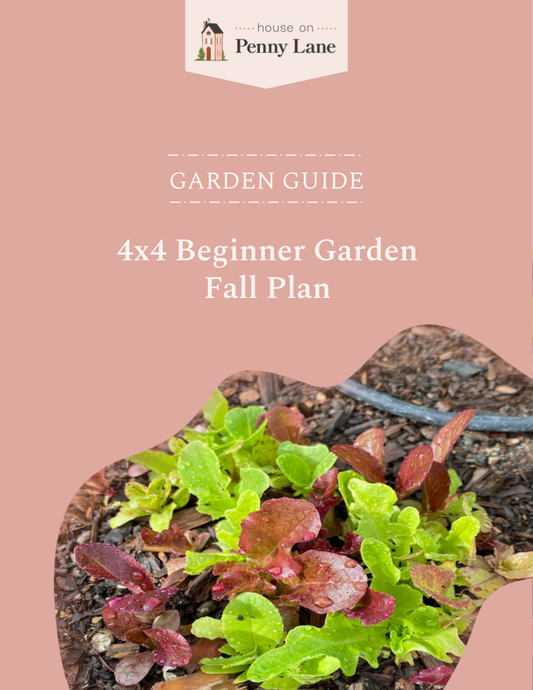 4x4 Beginner Garden Fall Plan